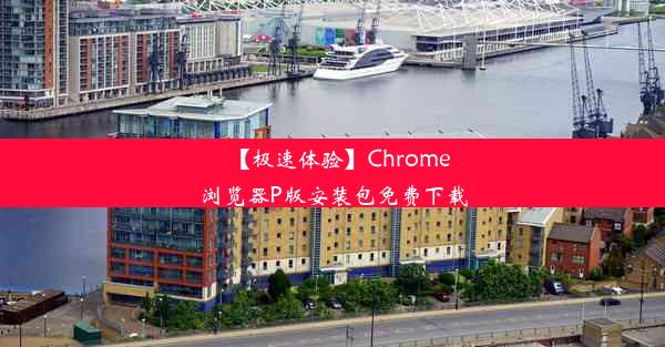 【极速体验】Chrome浏览器P版安装包免费下载