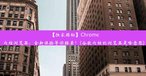 【独家揭秘】Chrome内核浏览器：全新体验等你探索！(谷歌内核的浏览器是啥意思)